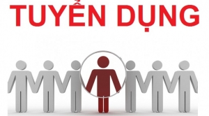 Tuyển Dụng_Nhân viên kinh doanh du lịch tại Đà Nẵng