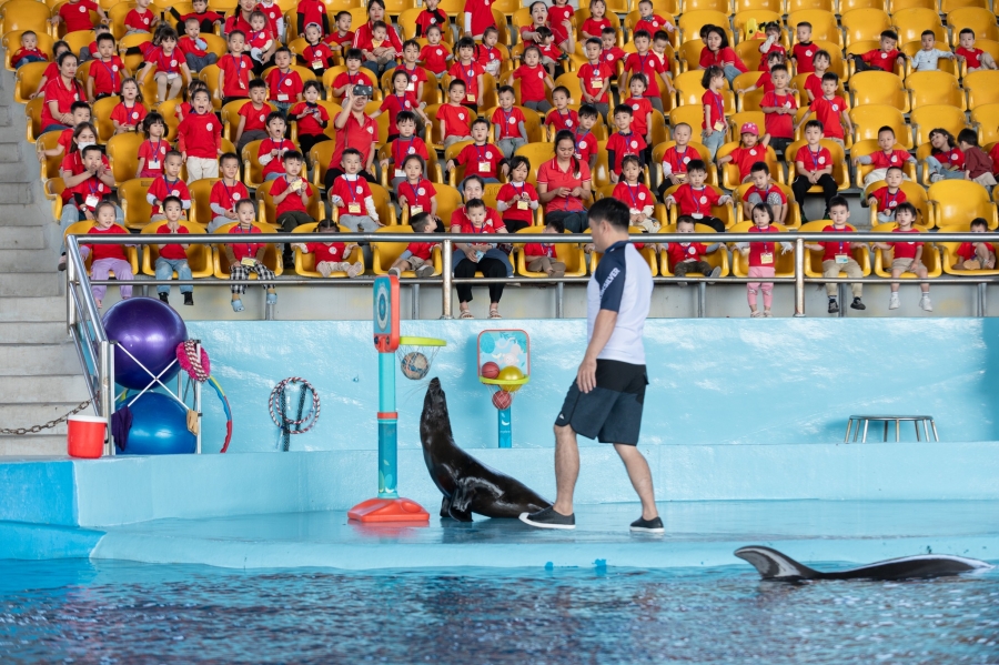 VÉ SHOW DIỄN CÁ HEO CỔ CÒ - DOLPHINARIUM ĐÀ NẴNG