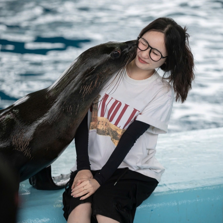 VÉ SHOW DIỄN CÁ HEO CỔ CÒ - DOLPHINARIUM ĐÀ NẴNG