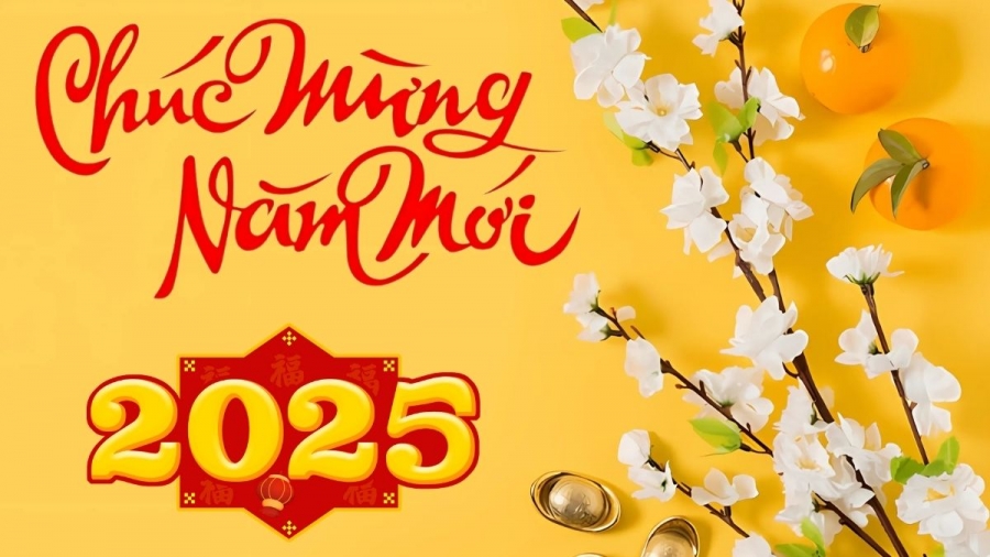 Tour Tết Bà Nà 1 ngày trọn gói giá rẻ 2025